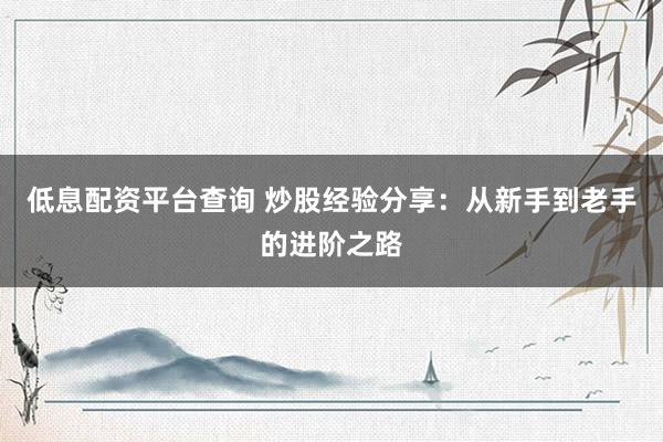 低息配资平台查询 炒股经验分享：从新手到老手的进阶之路