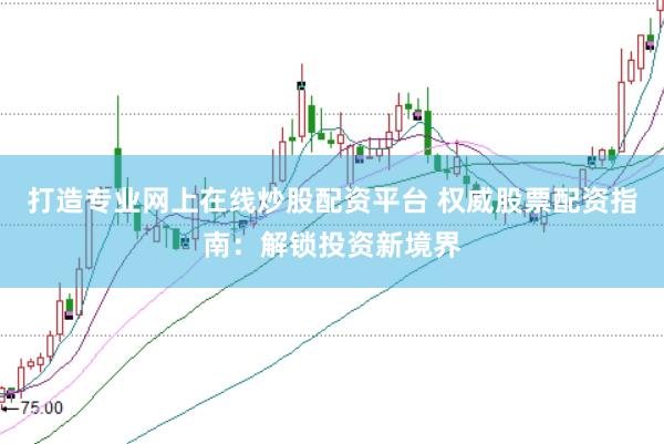 打造专业网上在线炒股配资平台 权威股票配资指南：解锁投资新境界
