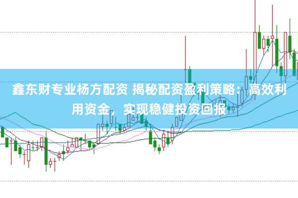 鑫东财专业杨方配资 揭秘配资盈利策略：高效利用资金，实现稳健投资回报