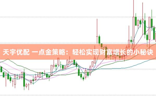 天宇优配 一点金策略：轻松实现财富增长的小秘诀