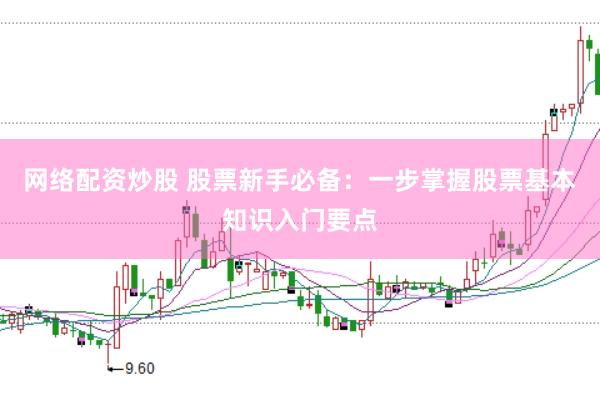 网络配资炒股 股票新手必备：一步掌握股票基本知识入门要点