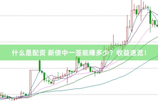 什么是配资 新债中一签能赚多少？收益速览！