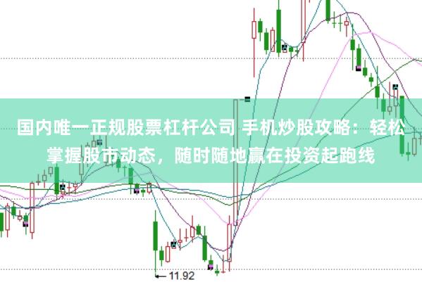 国内唯一正规股票杠杆公司 手机炒股攻略：轻松掌握股市动态，随时随地赢在投资起跑线