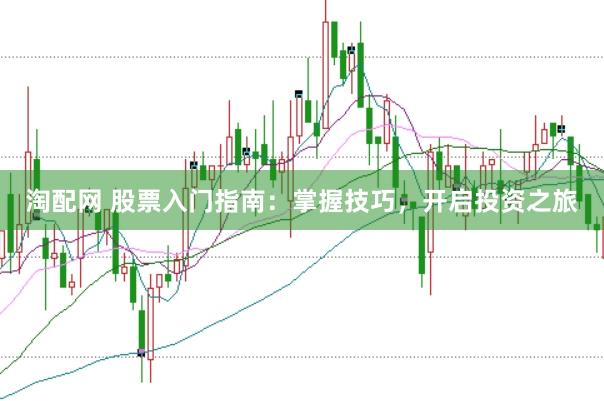 淘配网 股票入门指南：掌握技巧，开启投资之旅