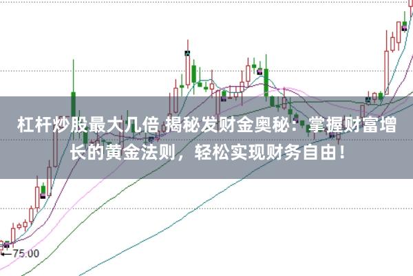 杠杆炒股最大几倍 揭秘发财金奥秘：掌握财富增长的黄金法则，轻松实现财务自由！
