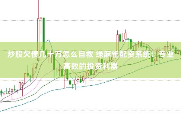 炒股欠债几十万怎么自救 绿麻雀配资系统：专业高效的投资利器