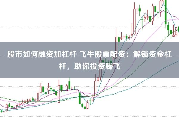 股市如何融资加杠杆 飞牛股票配资：解锁资金杠杆，助你投资腾飞