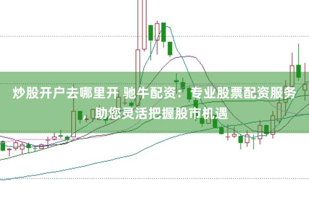 炒股开户去哪里开 驰牛配资：专业股票配资服务，助您灵活把握股市机遇