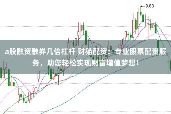a股融资融券几倍杠杆 财猫配资：专业股票配资服务，助您轻松实现财富增值梦想！