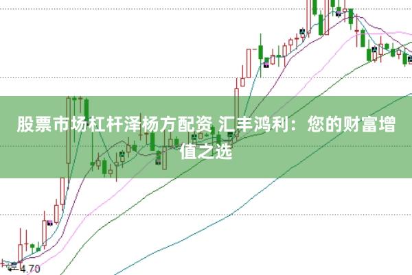 股票市场杠杆泽杨方配资 汇丰鸿利：您的财富增值之选