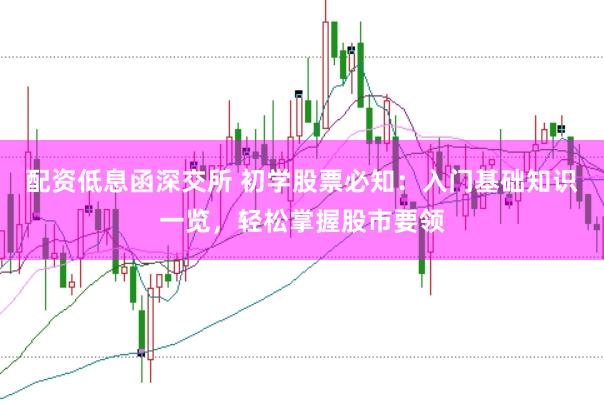 配资低息函深交所 初学股票必知：入门基础知识一览，轻松掌握股市要领