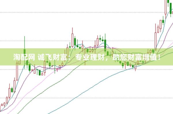淘配网 诚飞财富：专业理财，助您财富增值！