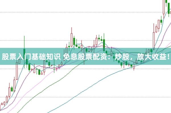 股票入门基础知识 免息股票配资：炒股，放大收益！