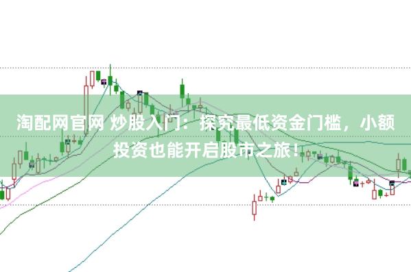 淘配网官网 炒股入门：探究最低资金门槛，小额投资也能开启股市之旅！