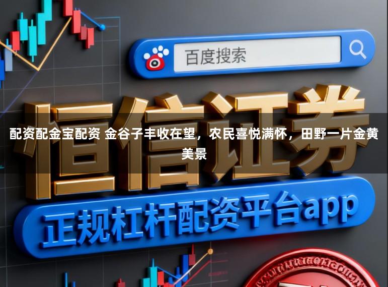 配资配金宝配资 金谷子丰收在望,农民喜悦满怀,田野一片金黄美景