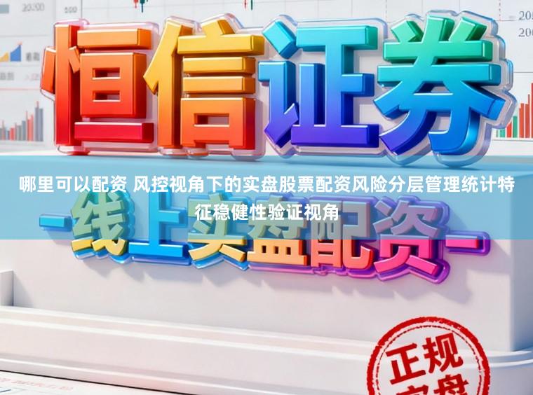 哪里可以配资 风控视角下的实盘股票配资风险分层管理统计特征稳健性验证视角